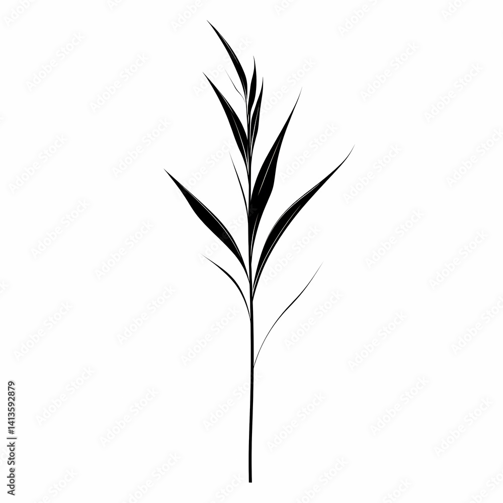Fototapeta premium Minimalistic Botanical Illustration: Vector Silhouette of Fresh Greenery Perfect for Modern Home Decor