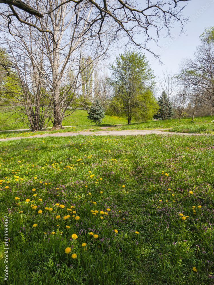Spring Landscape of South Park in city of Sofia, Bulgaria