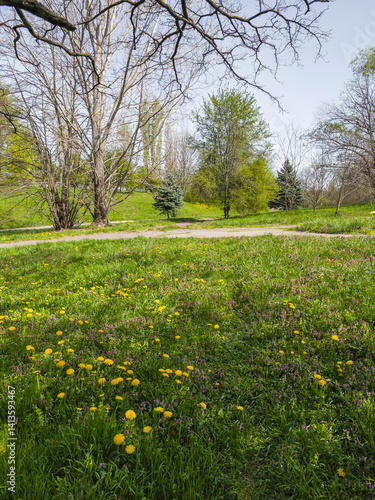 Obraz na płótnie Spring Landscape of South Park in city of Sofia, Bulgaria w salonie