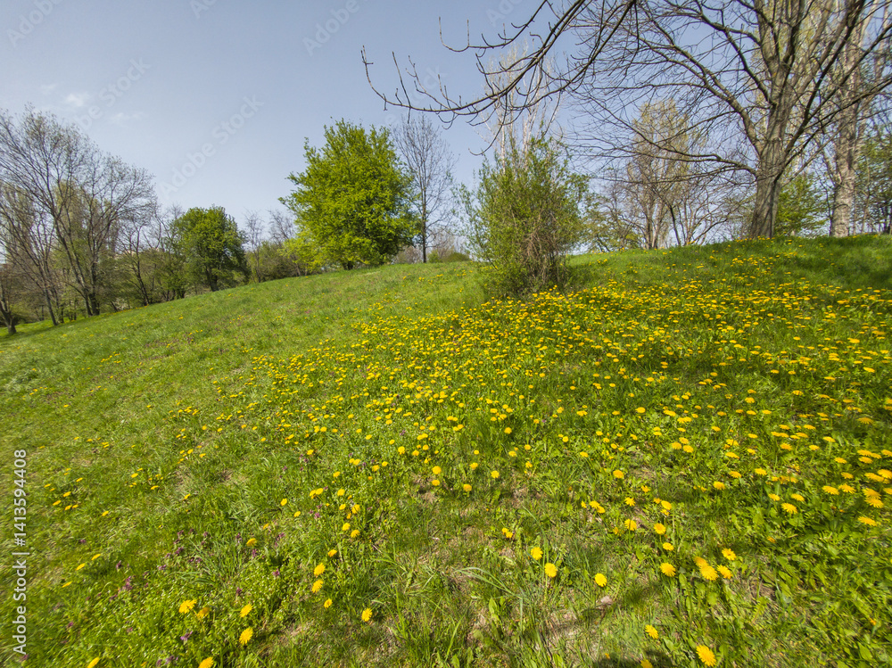 Spring Landscape of South Park in city of Sofia, Bulgaria