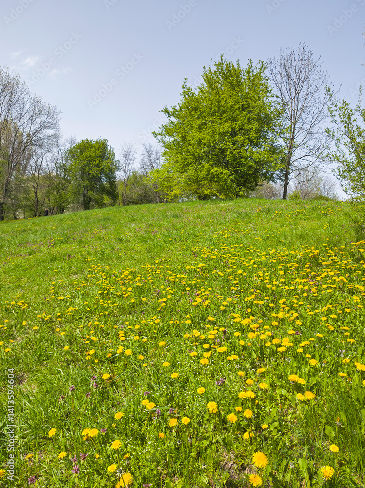 Spring Landscape of South Park in city of Sofia, Bulgaria