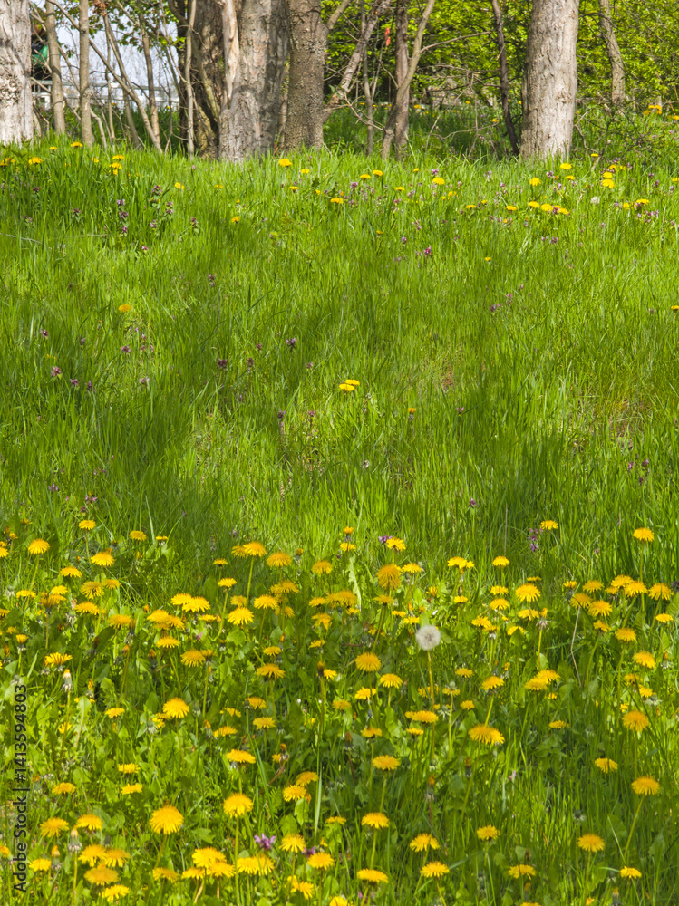 Spring Landscape of South Park in city of Sofia, Bulgaria