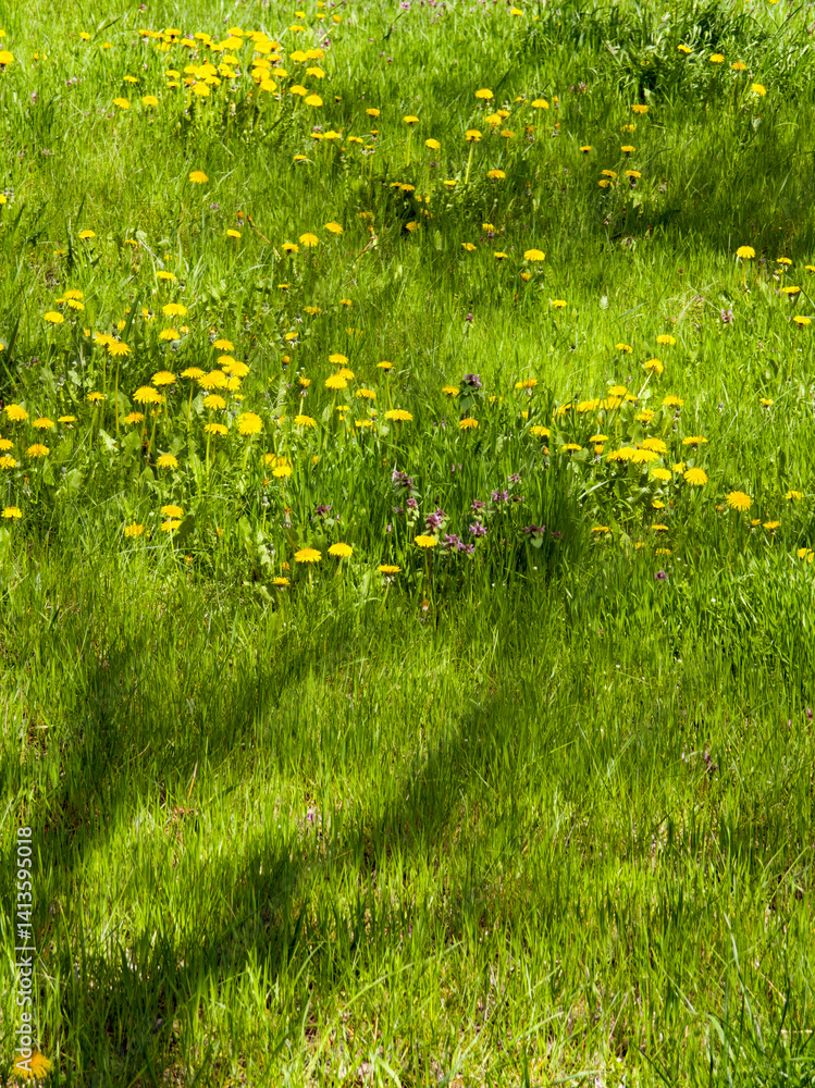 Spring Landscape of South Park in city of Sofia, Bulgaria