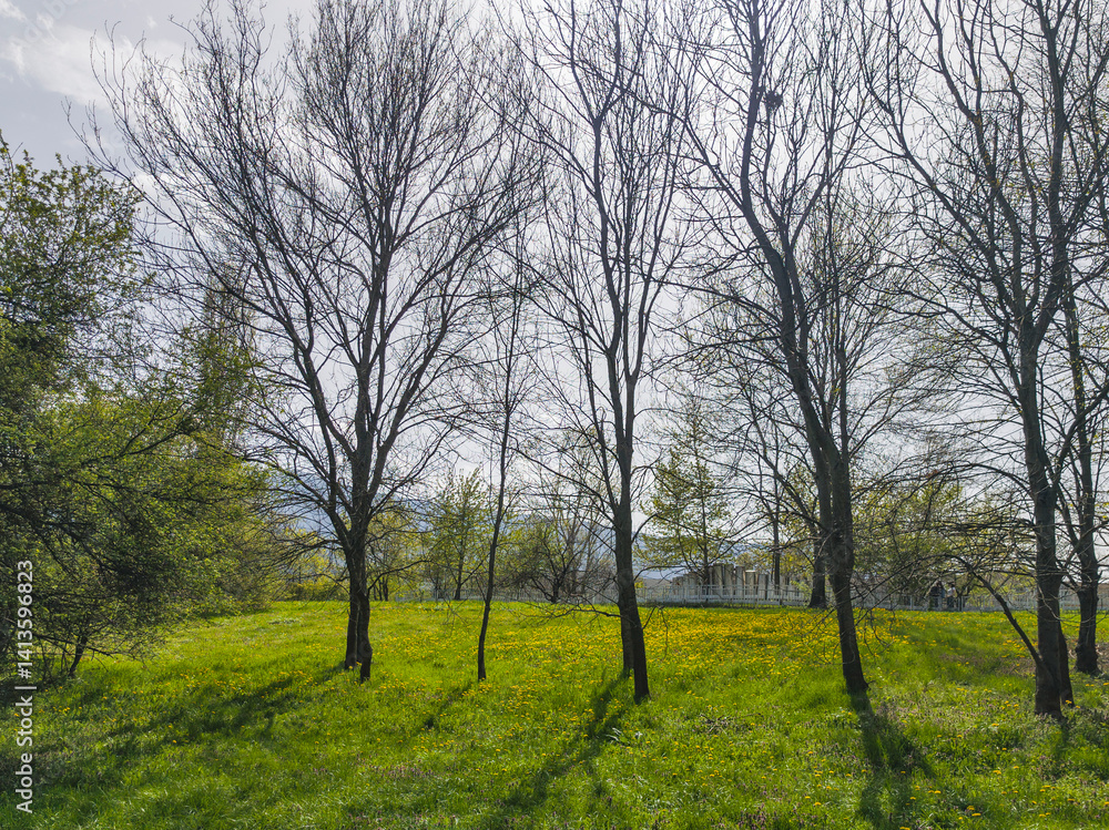 Spring Landscape of South Park in city of Sofia, Bulgaria