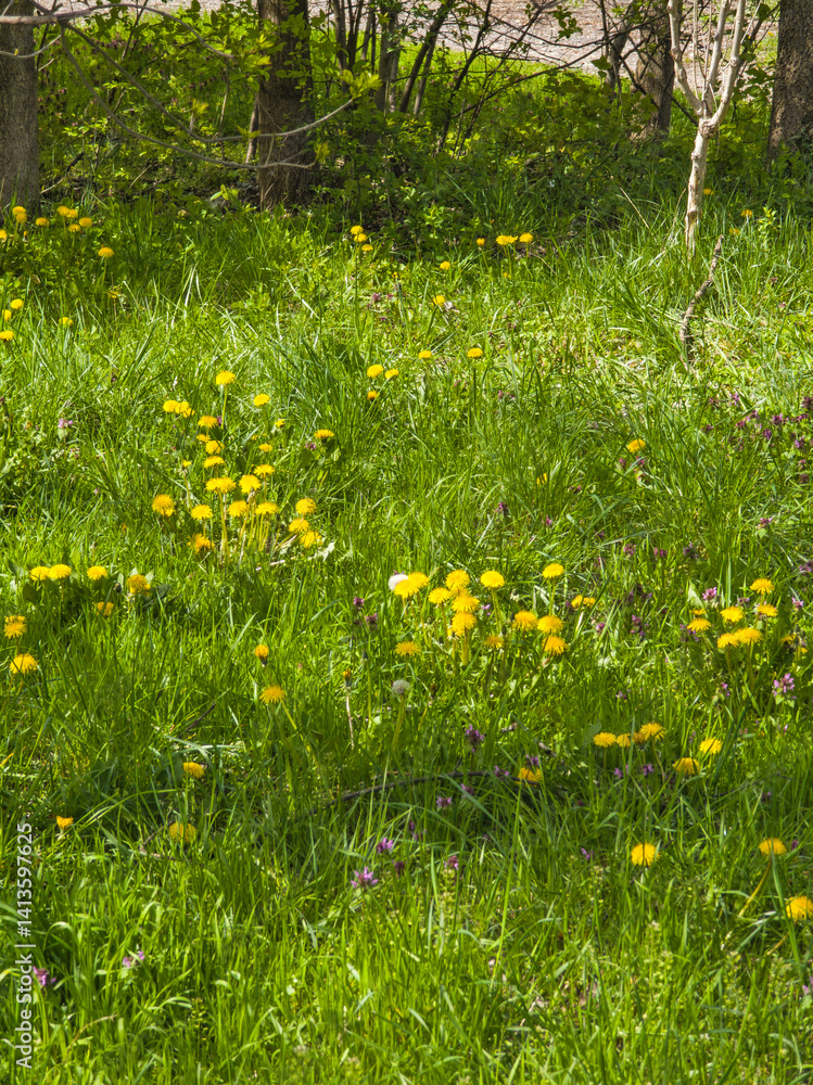 Spring Landscape of South Park in city of Sofia, Bulgaria