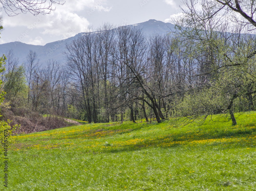 Spring Landscape of South Park in city of Sofia, Bulgaria