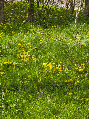 Obraz na płótnie Spring Landscape of South Park in city of Sofia, Bulgaria w salonie