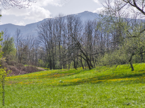 Obraz na płótnie Spring Landscape of South Park in city of Sofia, Bulgaria w salonie