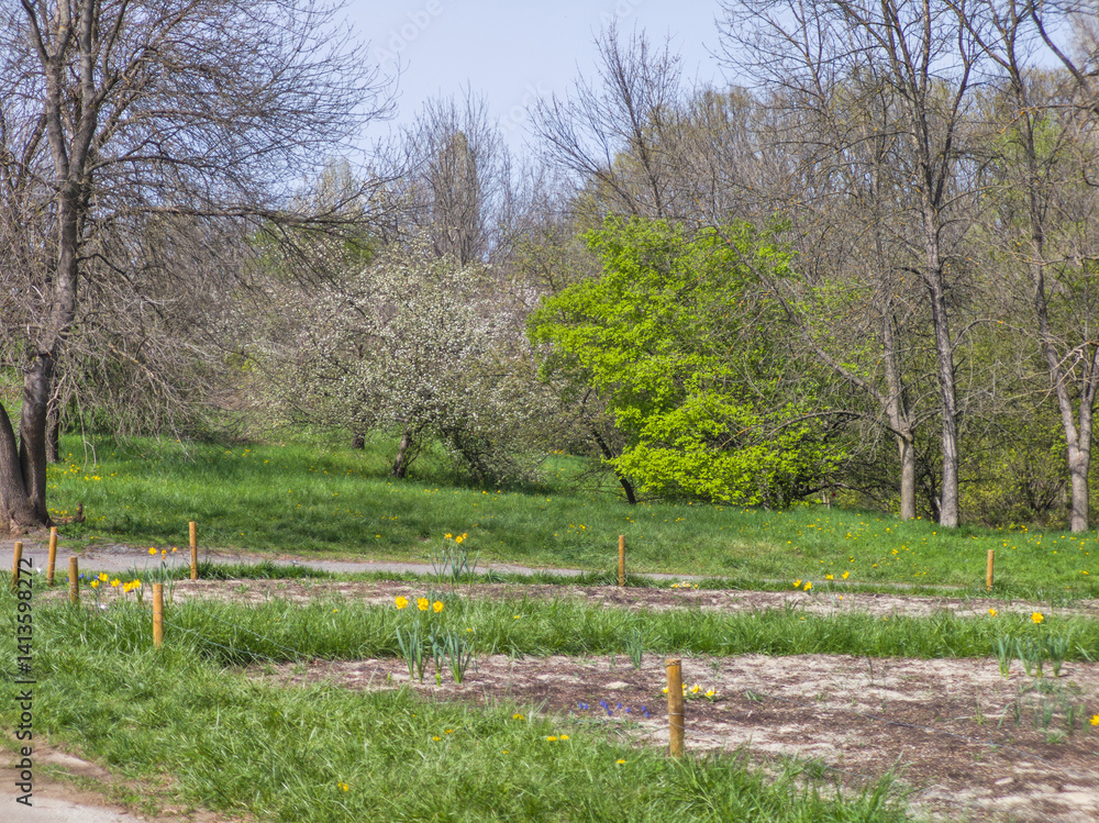 Spring Landscape of South Park in city of Sofia, Bulgaria