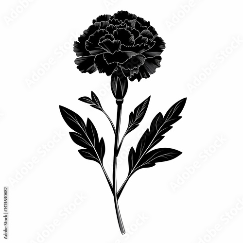 Black and White Carnation Illustration: Elegant Floral Design in Graphic Art