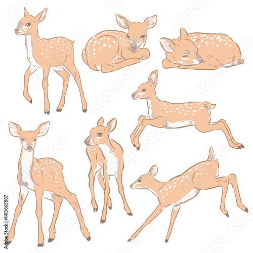 Vector clip art of fawn hand drawn digital painted.