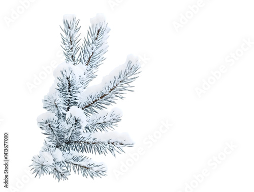 Obraz na płótnie Isolated Winter Pine Tree With Snow Realistic Photo on Transparent Background w salonie