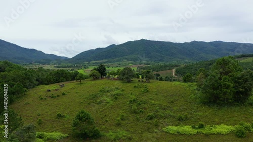 The lush green meadows of the Plain of Jars in Asia, Laos, near Luang Prabang, in summer on a cloudy day. 