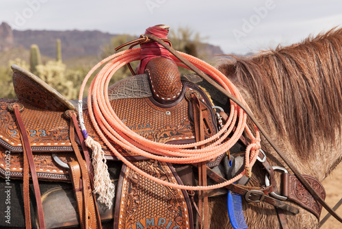 Close-up of a saddle and lariat on a horse.