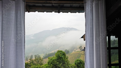 view through the window
