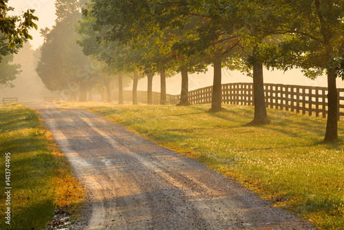Roadway and fences on horse farm at sunrise on foggy morning, Oldham County, Kentucky