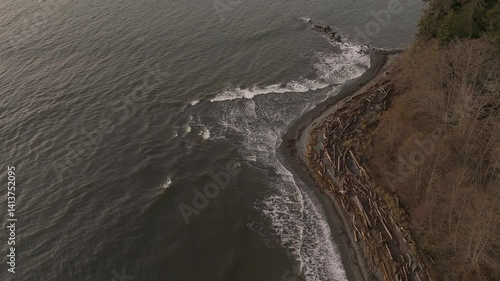 Wallpaper Mural West Coast Vancouver Island: Serene Ocean Waves and Driftwood on a Rocky Beach Torontodigital.ca