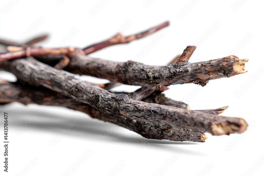 Fototapeta premium Dried Tree Branches on White Background Create a Natural Rustic Element