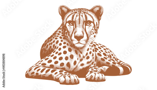 Cheetah vector