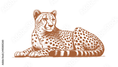 Cheetah vector