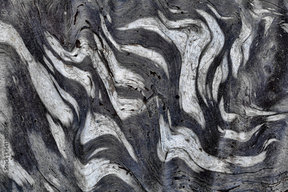 USA, Washington State, Olympic National Park. Black and white close-up of patterns in driftwood.