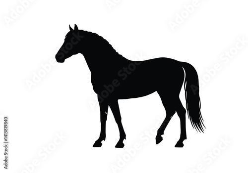 Silhouette of a horse. This image shows a black silhouette of an equine figure, symbolizing grace, power, and the majestic beauty of a horse. Vector clipart black illustration design.
