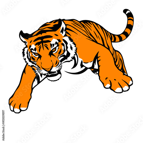 Wild roaring tiger full body vector zoology Illustration of a powerful big cat predator isolated on white background