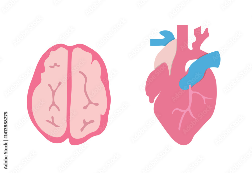 Obraz premium Cartoon Brain and Anatomical Heart Vector – Medical & Educational Design