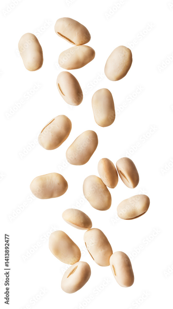 soybeans falling on white background soybeans falling on white background