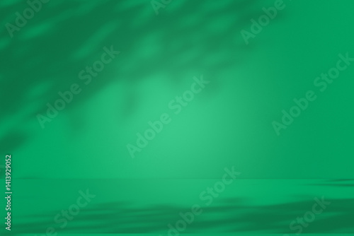 Obraz na płótnie Wall interior background, studio and backdrops show products. with leaf shadow from window color green and white. background for text insertion and presentation of product w salonie