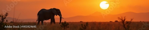 Majestic Elephant Silhouette in Misty Savannah , elephant, trees