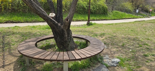 bench in the park
