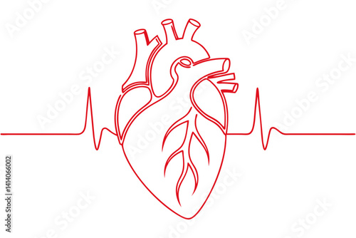 anatomical heart human organ drawing