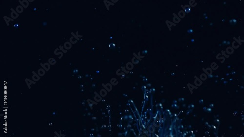 Water Splash on Black Background Motion Graphic Looping