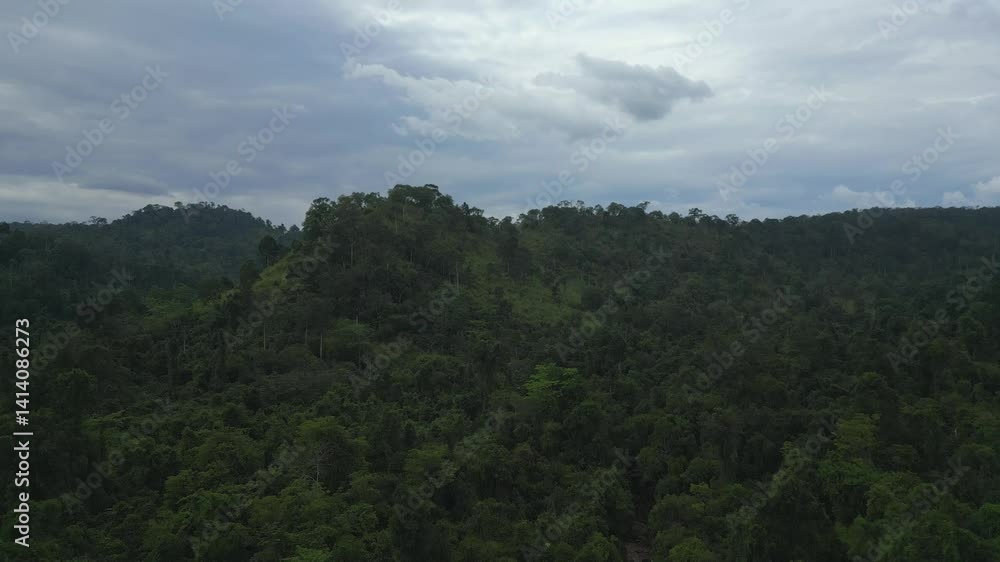 Drone ascends over dense jungle, with forest-covered peaks in a remote rainforest. Drone ascends over dense jungle, with forest-covered peaks in a remote rainforest.