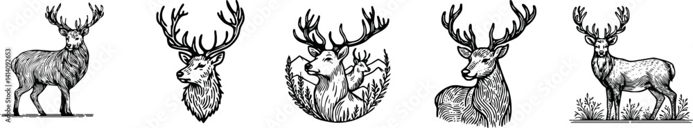Fototapeta premium Vintage engrave isolated deer set illustration ink sketch. Wild doe stag background reindeer vector art