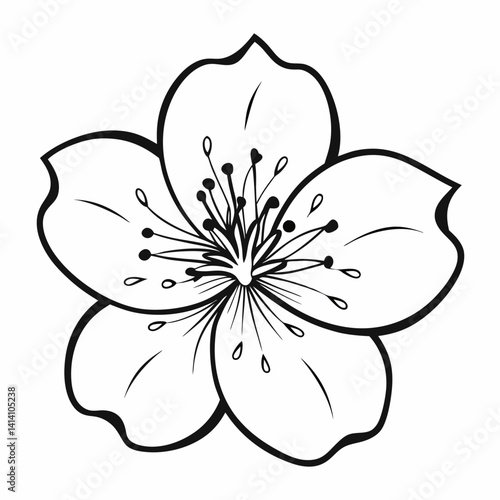 hand drawn cherry-blossom flower outline illustration 