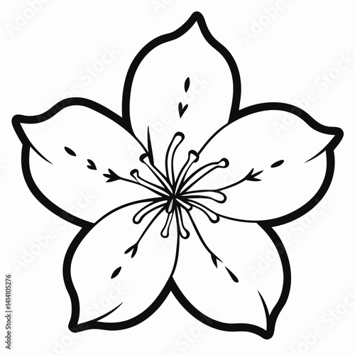 hand drawn cherry-blossom flower outline illustration 