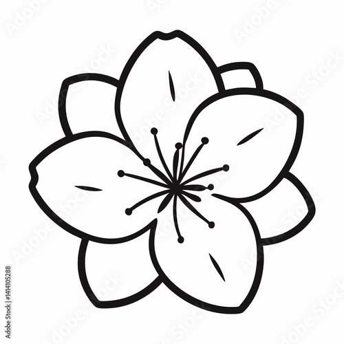 hand drawn cherry-blossom flower outline illustration 