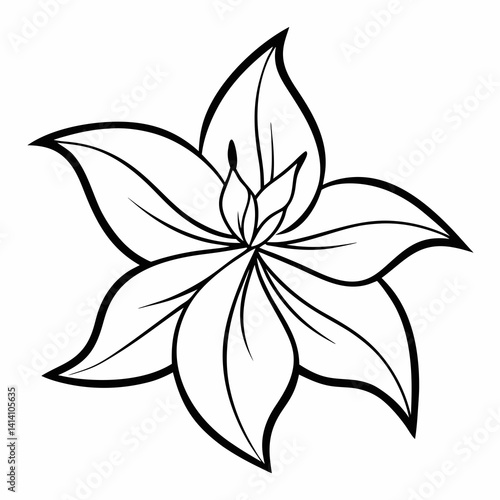 hand drawn clematis flower outline illustration 