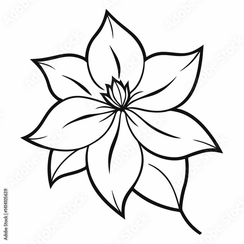 hand drawn clematis flower outline illustration 