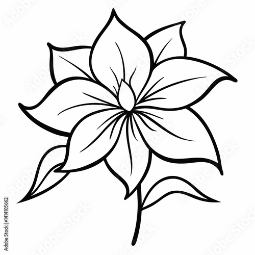 hand drawn clematis flower outline illustration 