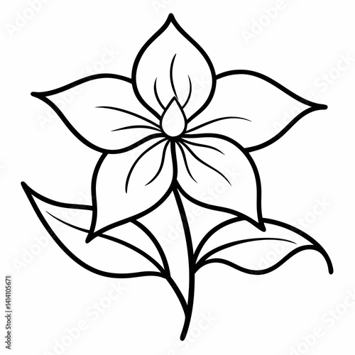 hand drawn clematis flower outline illustration 