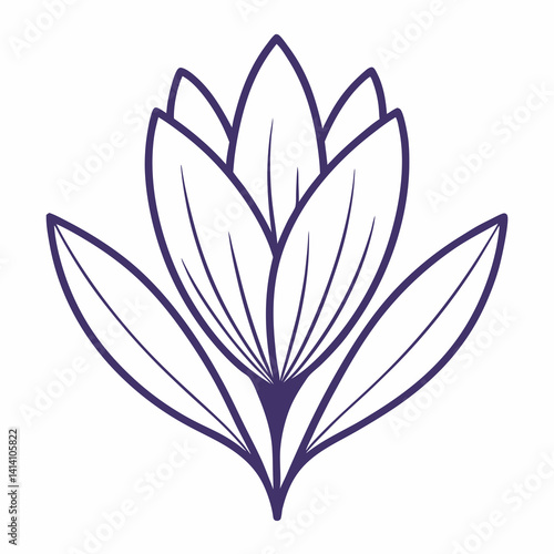 crocus hand drawn crocus flower outline illustration 