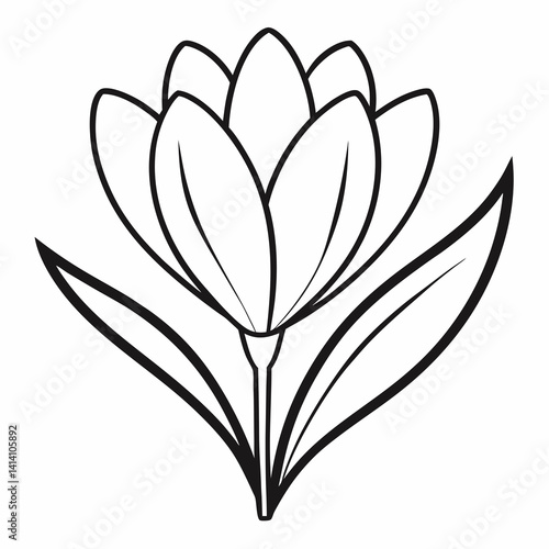 crocus hand drawn crocus flower outline illustration 