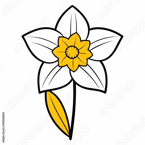 hand drawn daffodil flower outline illustration 