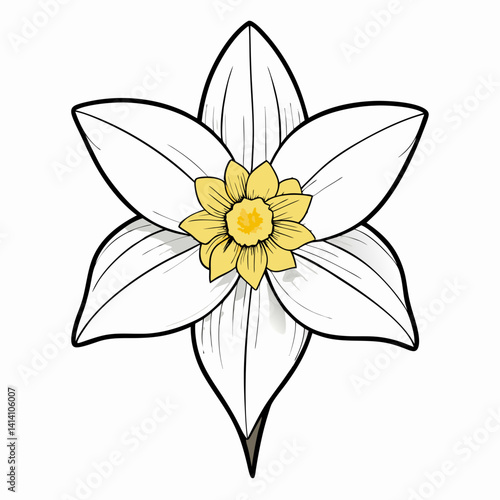 hand drawn daffodil flower outline illustration 