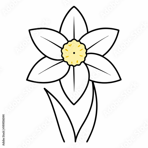 hand drawn daffodil flower outline illustration 