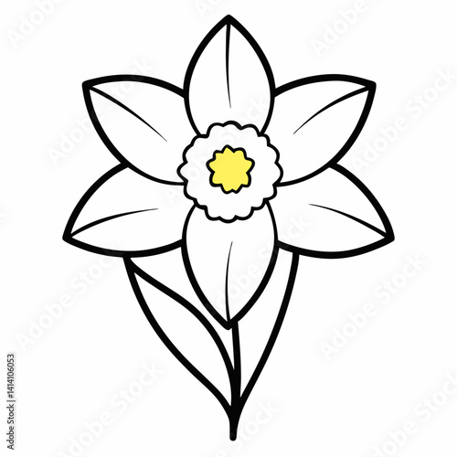 hand drawn daffodil flower outline illustration 