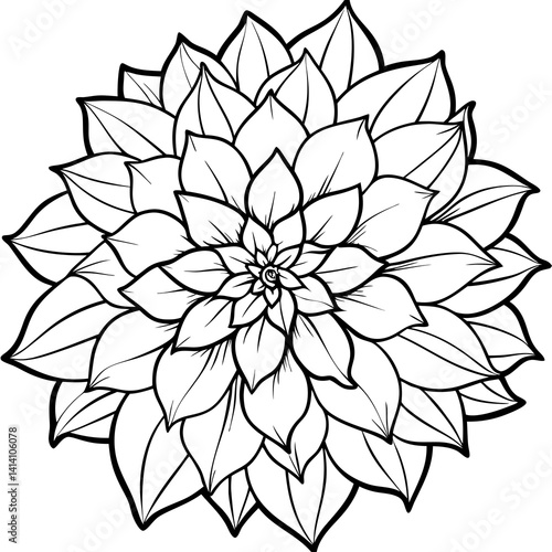 hand drawn dahlia flower outline illustration 